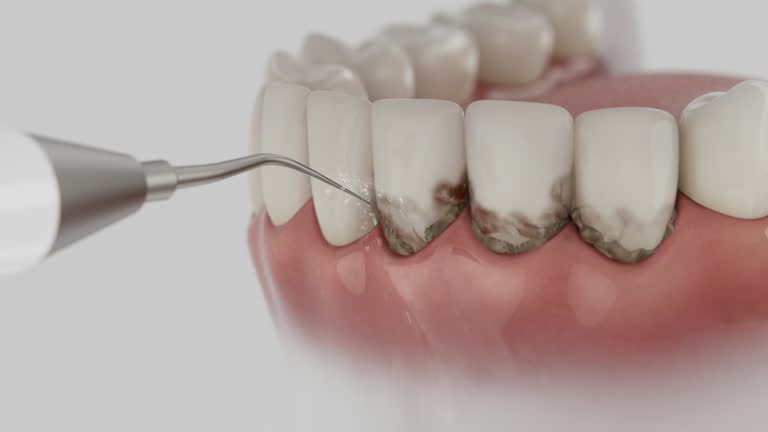 Reliable Dental contractor in Lewistown, PA by Dentist Open Now
